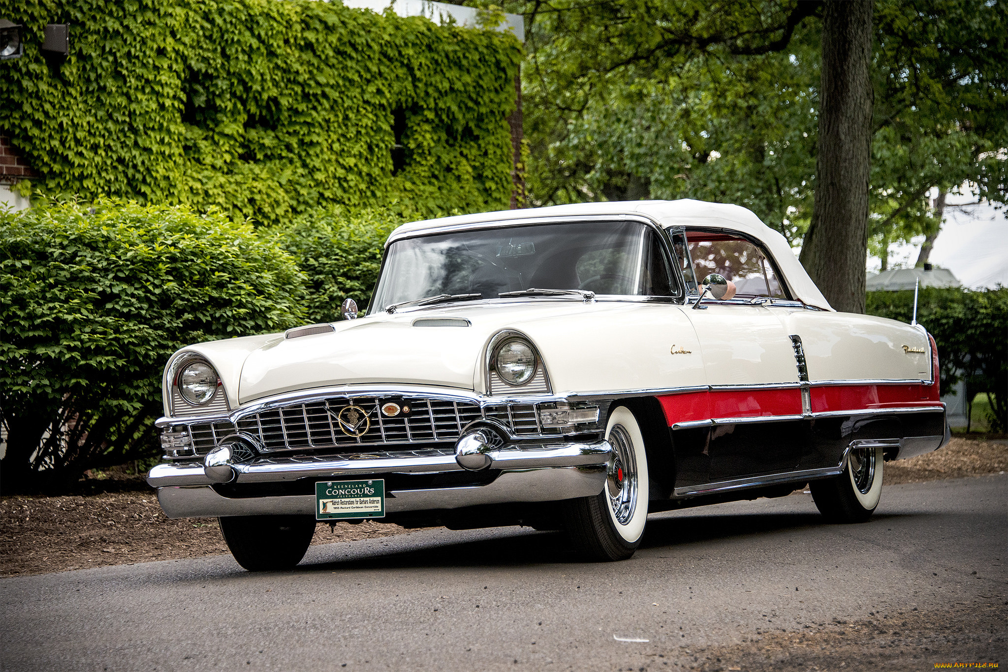 packard caribbean,  1956, , packard, , , 